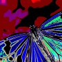 Bild: Hans Peter Halm Bild: Hans Peter Halm