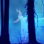 Bild: Alfred Schiener Bild: Alfred Schiener